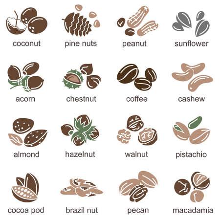 nuts icons setのイラスト素材