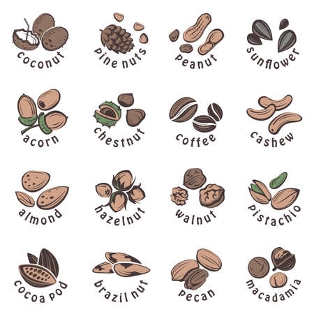 nuts icons setのイラスト素材