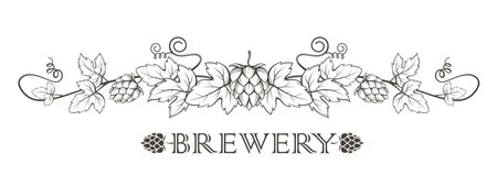 illustration of hops branch with leaves for brewingのイラスト素材