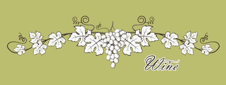 illustration of grape bunches with leavesのイラスト素材
