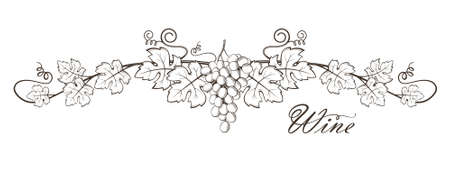 illustration of grape bunches with leavesのイラスト素材