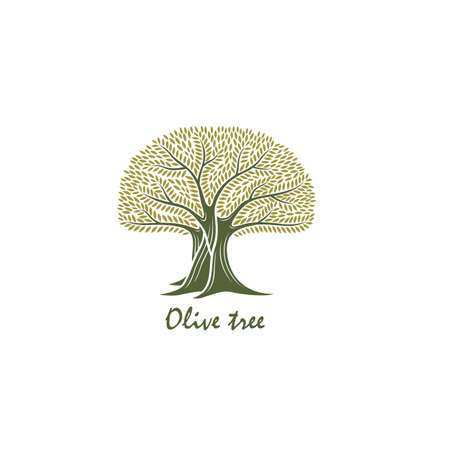 label for extra virgin olive tree oilのイラスト素材