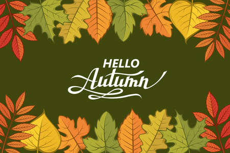 hello autumn patternのイラスト素材