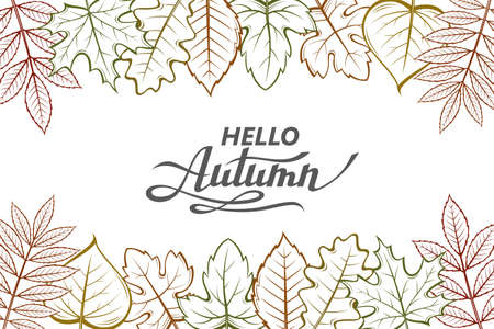 hello autumn patternのイラスト素材