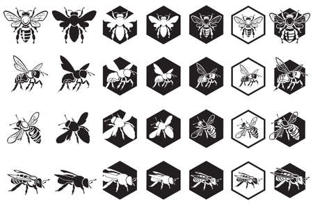 collection of bees and honeycombsのイラスト素材