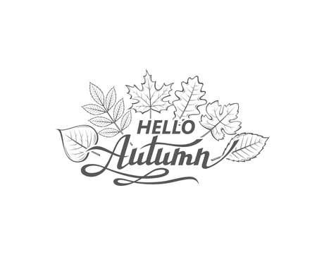hello autumn labelのイラスト素材