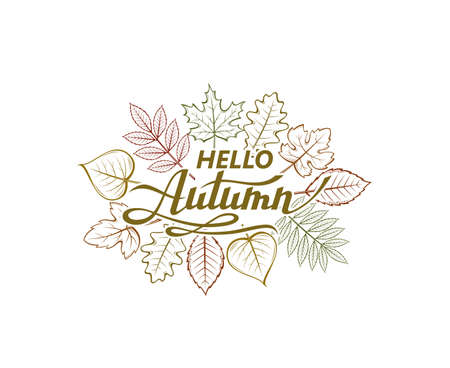 hello autumn labelのイラスト素材