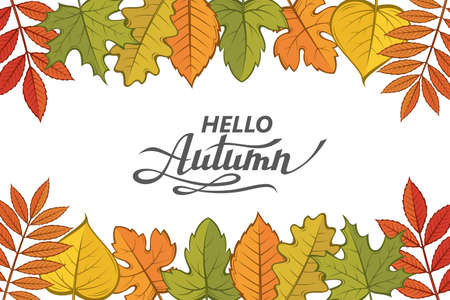 hello autumn patternのイラスト素材