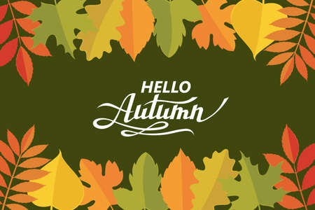 hello autumn patternのイラスト素材