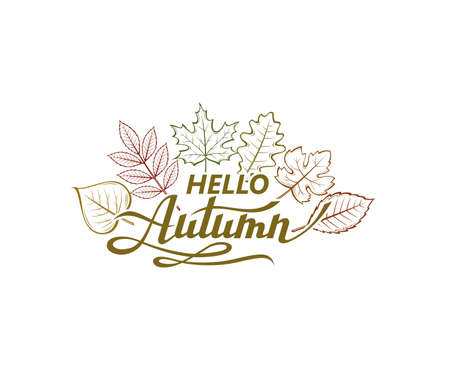 hello autumn labelのイラスト素材