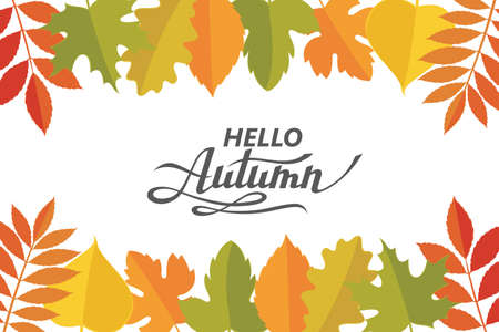hello autumn patternのイラスト素材