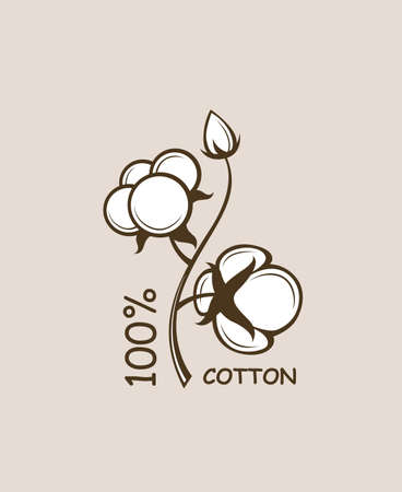 pattern cotton plant flowers branchのイラスト素材