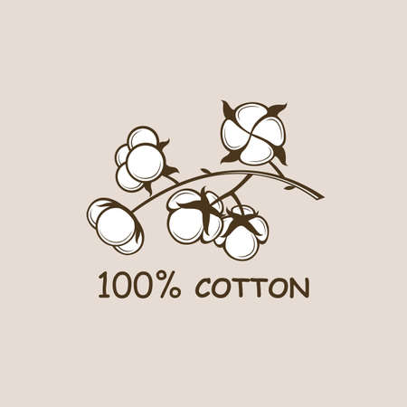 pattern cotton plant flowers branchのイラスト素材