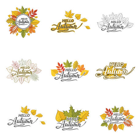 collection of hello autumn lettering pattern with leavesのイラスト素材