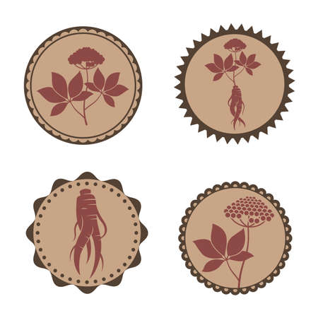 collection of panax ginseng root labelのイラスト素材