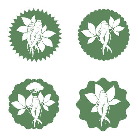 collection of panax ginseng root labelのイラスト素材