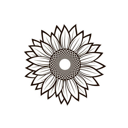 sunflower illustration isolatedのイラスト素材