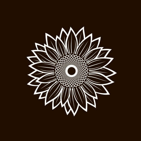 white illustration with flower of sunflower isolatedのイラスト素材
