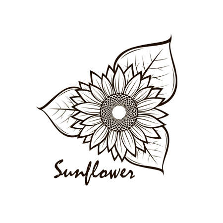 illustration with flower of sunflower isolatedのイラスト素材