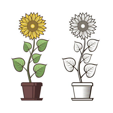collection of illustration with sunflower in flowerpotのイラスト素材