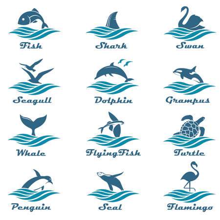 icon collection of aquatic animals with sea wavesのイラスト素材