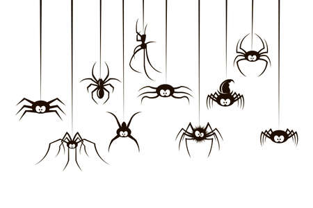 black collection of various spiders isolated on white backgroundのイラスト素材