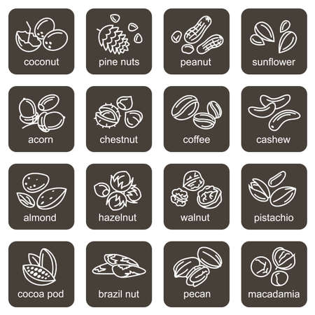 collection of various nuts icons isolated on black backgroundのイラスト素材