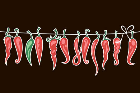 collection of red hot chili peppers in cord isolated on black backgroundのイラスト素材