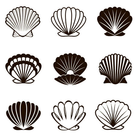 monochrome collection of various seashells isolated on white backgroundのイラスト素材