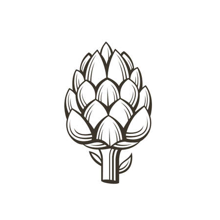 black artichoke bud vegetable illustration isolated on white backgroundのイラスト素材