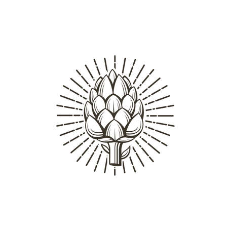 black artichoke bud vegetable illustration isolated on white backgroundのイラスト素材
