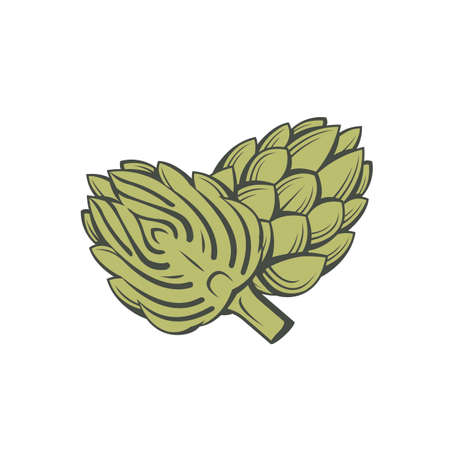 green artichoke bud vegetable illustration isolated on white backgroundのイラスト素材