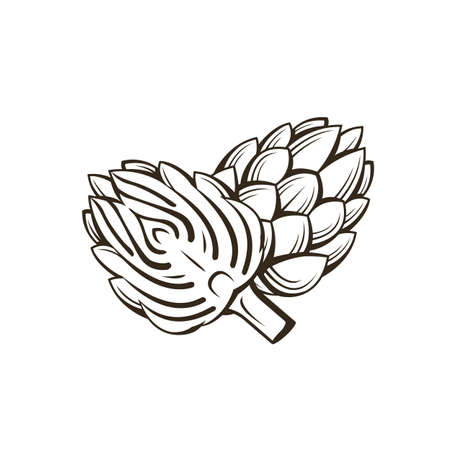 black artichoke bud vegetable illustration isolated on white backgroundのイラスト素材