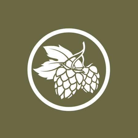 illustration of hop for brewing isolated on green backgroundのイラスト素材