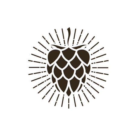 illustration of hop for brewing isolated on white backgroundのイラスト素材