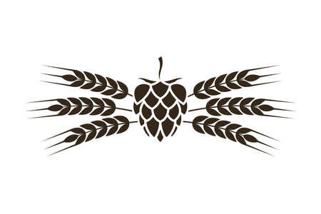 illustration of hop with barley ear for brewing isolated on white backgroundのイラスト素材