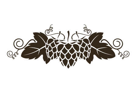 illustration of hop for brewing isolated on white backgroundのイラスト素材