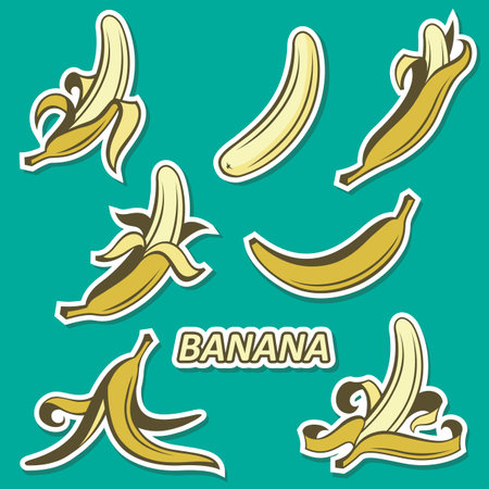 collection of banana tropical fruit isolated on green backgroundのイラスト素材