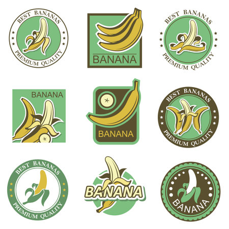 collection of banana tropical fruit label isolated on white backgroundのイラスト素材