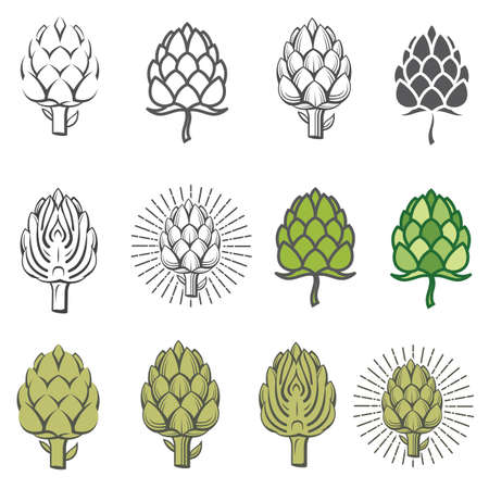 collection of artichoke bud vegetable illustration isolated on white backgroundのイラスト素材