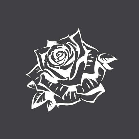 image of white rose bud isolated on black backgroundのイラスト素材