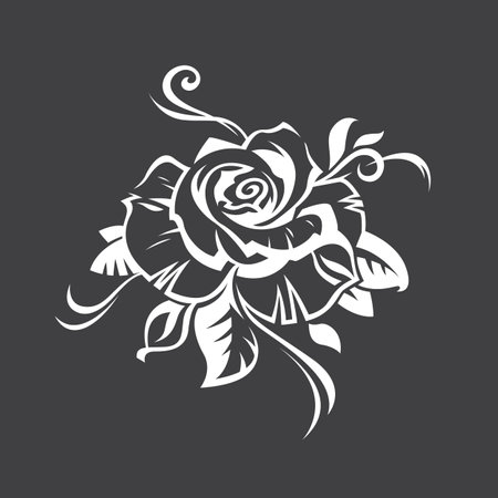 image of white rose bud isolated on black backgroundのイラスト素材