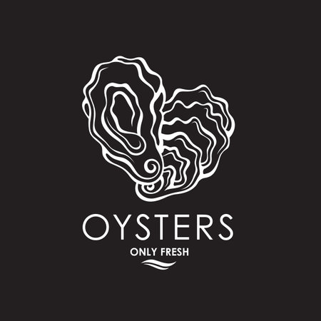 collection of oyster shell isolated on black backgroundのイラスト素材