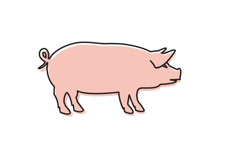 illustration of pig isolated on white backgroundのイラスト素材
