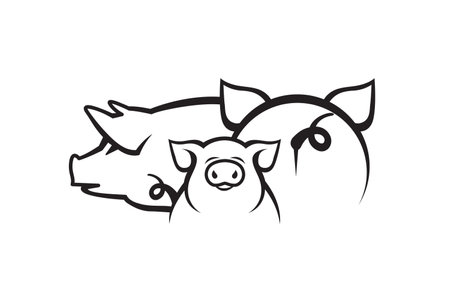 monochrome illustration of pigs and piggy isolated on white backgroundのイラスト素材