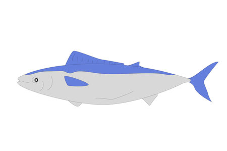 Tuna isolated on white background. Simple Fish vector line art flat illustrationのイラスト素材