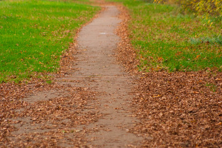 Park Pathway with leaves and grass