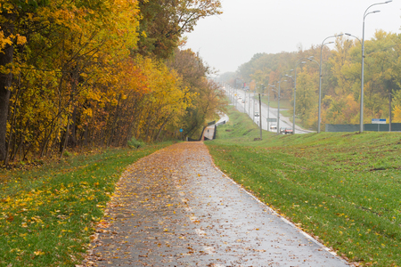 Bicycle lane along the road in Ukraine. Fallの写真素材
