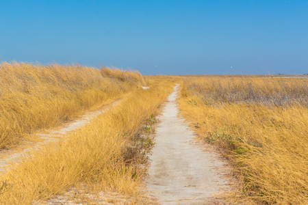 Steppe Road Ukraine Europeの写真素材