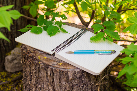 Top view of open spiral blank notepad with pen on wood stump background and green leaves on branchの写真素材